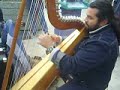 Arpa chilena
