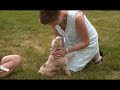 Cooper Kelly Barbara