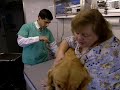 Veterinarians Working for Healthier Humans Veterinarians Working for Healthier Humans