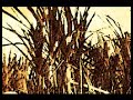 Norberto James Rawlings - Cielonaranja