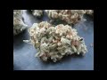 Goose – No Seeds