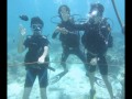JOC Staff's Scuba Diving in Boracay - YouTube