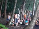 PUNA Hawaii Rd. Trip to limbo on the beach.