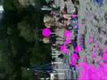 videos de bleeding love polla salerno