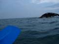 Kayaking, Fishing And Videoing On Lake Erie