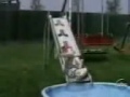 VIDEO DEMASIDO CHISTOSO EN YOU TUBE you tube's funniest video.wmv