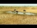 Truth vs Hype: Maharashtra - Drought by design