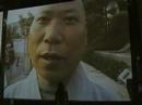 La Biennale di Marina: We\