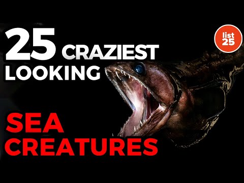 creatures - When most people think of the ocean they probably imagine whales, dolphins, sharks, and other normal things. As you get deeper beneath the waves, however, th...