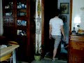 gattinociccinocarino part2