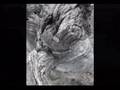 lazy calm - cocteau twins