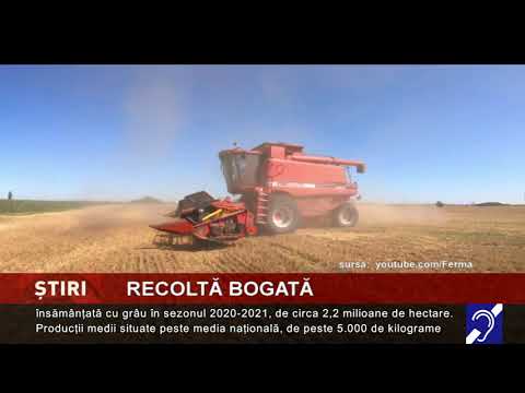 Producție record la grâu, în România