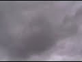 Dave lands in a tree