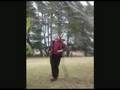 Dave lands in a tree