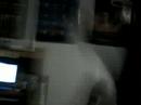 Monti and Agnel go crazy