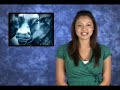 QualityStocks Daily Video 10/17/2007