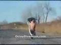 caballitos en motos