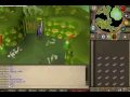 zozo hero get 85 str with tezali