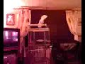 Sybil shouting.mp4