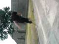 ben mode jump