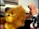 bryan the lion