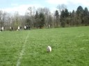 Rugby - Vader Kicks