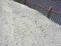 videos de masella 13/11/2008