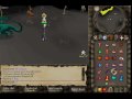 runescape-in-wild.html