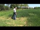 Minelab Sovereign Elite Metal Detector with Norfolk Wolf