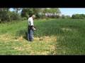 Minelab Sovereign Elite Metal Detector with Norfolk Wolf
