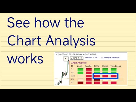 SenDash's Chart analysis