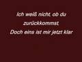 Die Prinzen - Ich Schenk dir die Welt