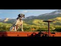 Budweiser Clydesdale Team Commercial Budweiser Clydesdale Team Commercial