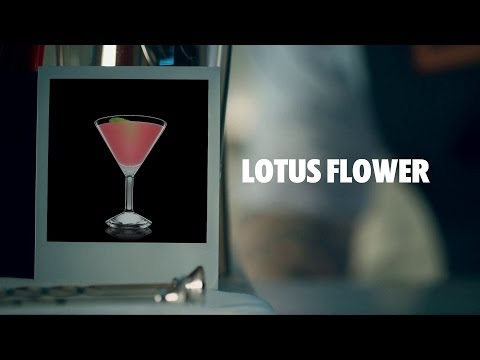 LOTUS FLOWER DRINK RECIPE – HOW TO MIX