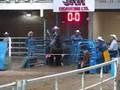 Kasper Roy Break Away Roping