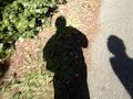 man killed skateboarding