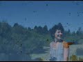Monarch Butterflies in Mexico