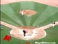 Bird gets hit by baseball Bird gets hit by baseball
