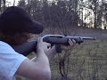 ruger,10/22,1022