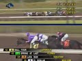 2007 Santa Anita Handicap - Lava Man