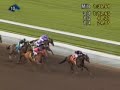 2007 Santa Anita Handicap - Lava Man