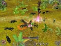 Sacred2 DW-Reflective Emanation (Buff)