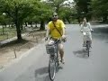 Japan Travel Summary