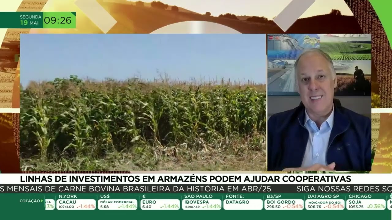 Linhas de investimentos em armazéns podem ajudar cooperativas