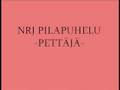 NRJ Pilapuhelu Pettäjä