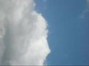 S. ANTONIO 13/06/2008