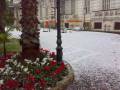 videos de Sanremo Grandinata 2008.wmv