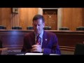 Mark Green speaks to the Senate Working Group on Malaria briefing
