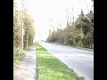 FALSCHFAHRER - Thumb #3