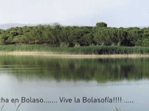 Camping Bolaso Vive la Bolasofía